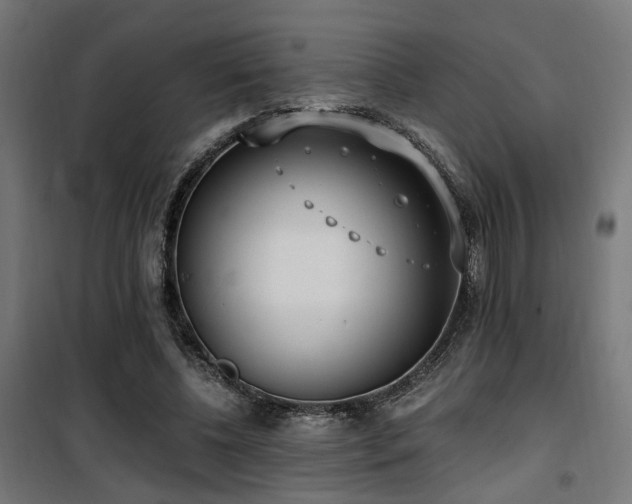 X0000101460540200807071433