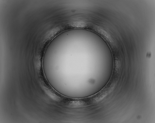 X0000101460541200807071433