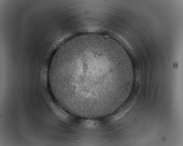 X0000101460542200807071433