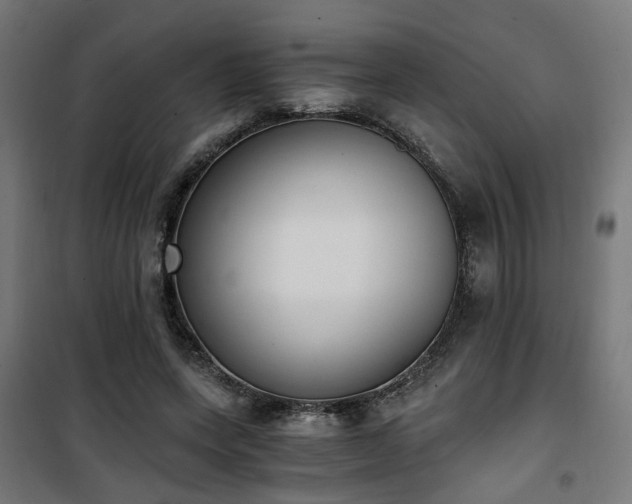 X0000101460543200807071433