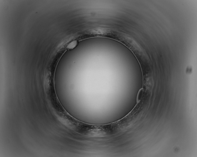 X0000101460544200807071433