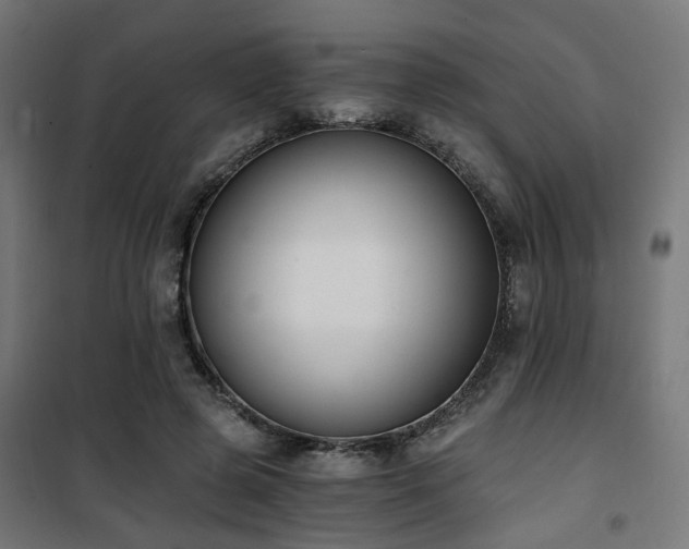 X0000101460545200807071433