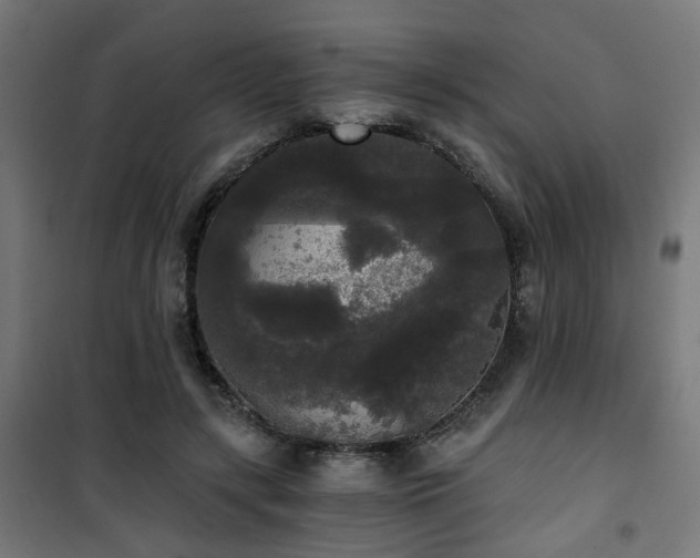 X0000101460547200807071433