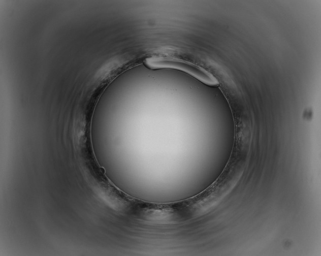 X0000101460548200807071433