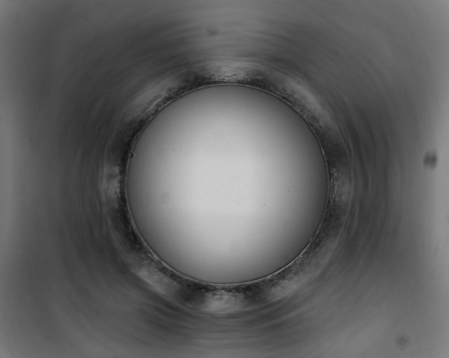 X0000101460549200807071433