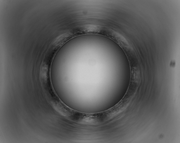 X0000101460550200807071433