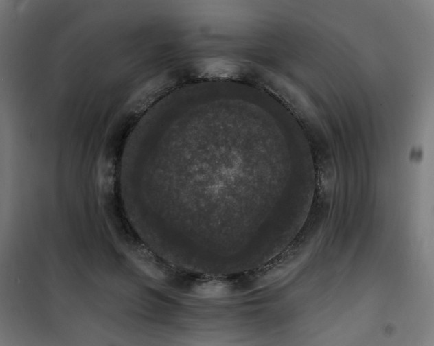 X0000101460551200807071433