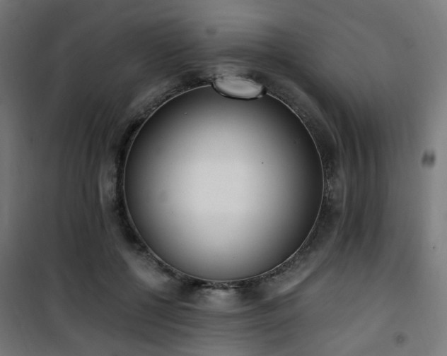 X0000101460552200807071433