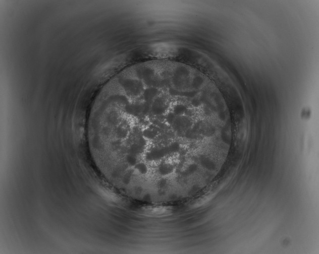 X0000101460553200807071433