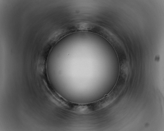 X0000101460554200807071433
