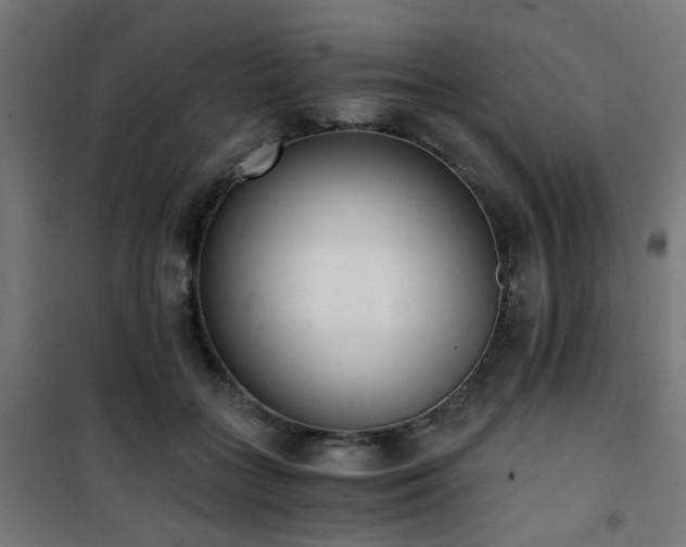 X0000101460555200807071433