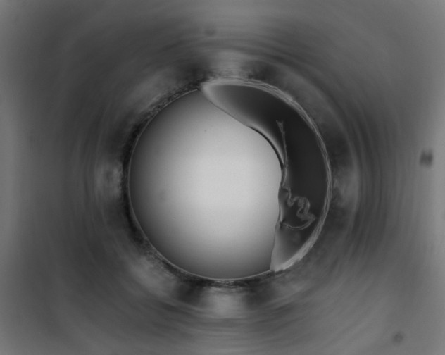 X0000101460556200807071433