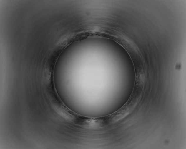 X0000101460558200807071433