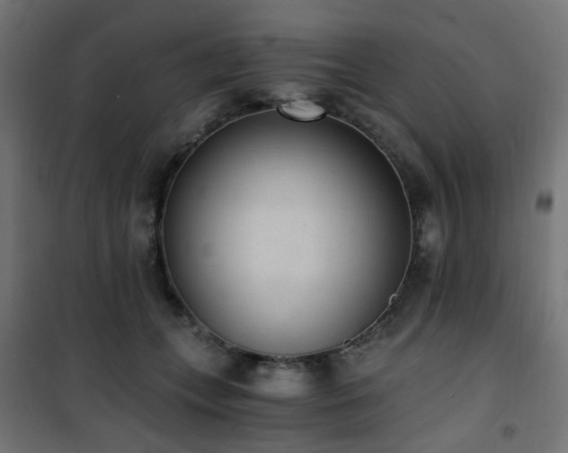 X0000101460559200807071433