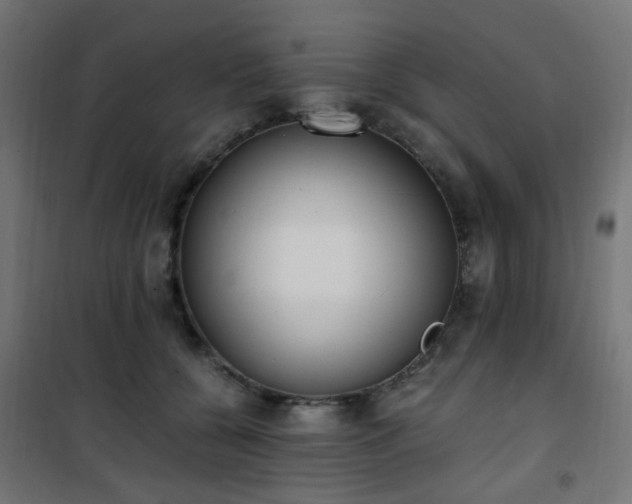 X0000101460560200807071433
