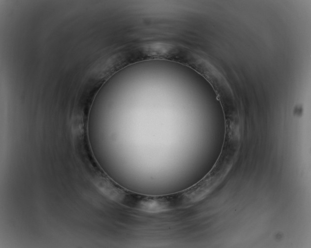 X0000101460561200807071433