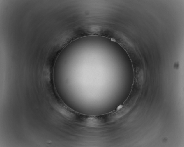 X0000101460562200807071433
