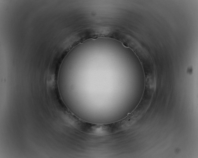 X0000101460564200807071433
