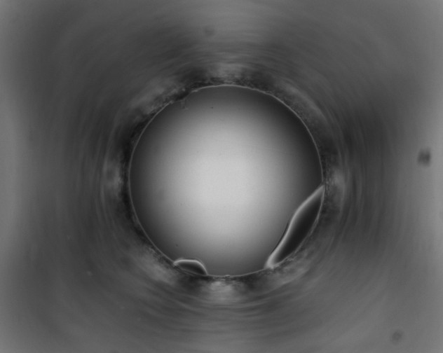 X0000101460566200807071433