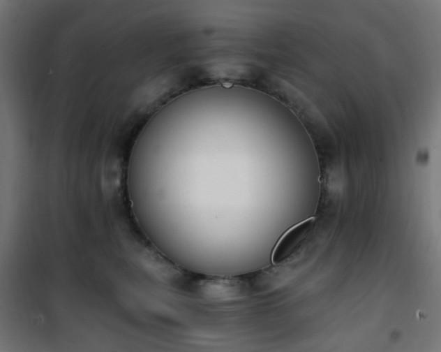 X0000101460567200807071433