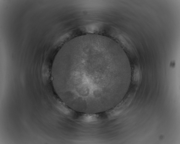 X0000101460569200807071433