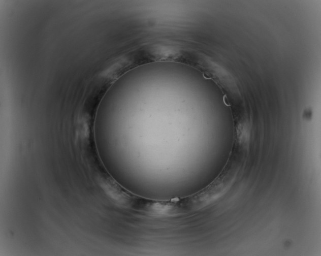 X0000101460570200807071433