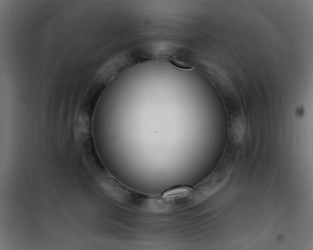 X0000101460571200807071433