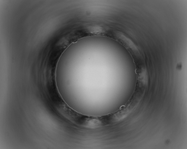 X0000101460572200807071433