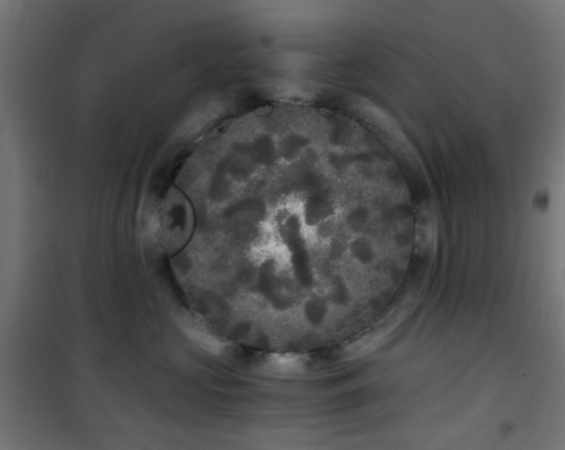 X0000101460573200807071433