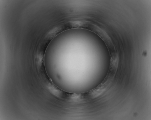X0000101460574200807071433