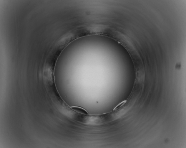 X0000101460575200807071433