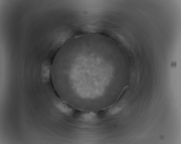 X0000101460576200807071433