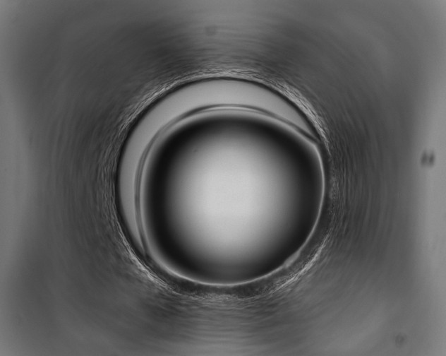 X0000101460577200807071433