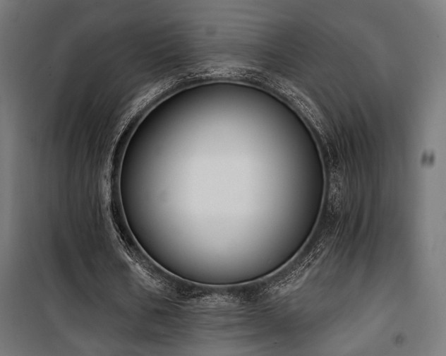 X0000101460578200807071433