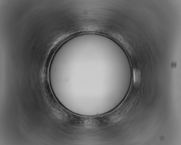 X0000101460579200807071433