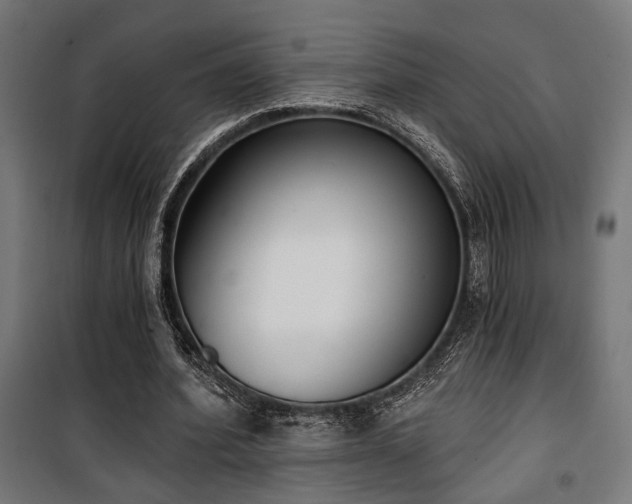 X0000101460580200807071433