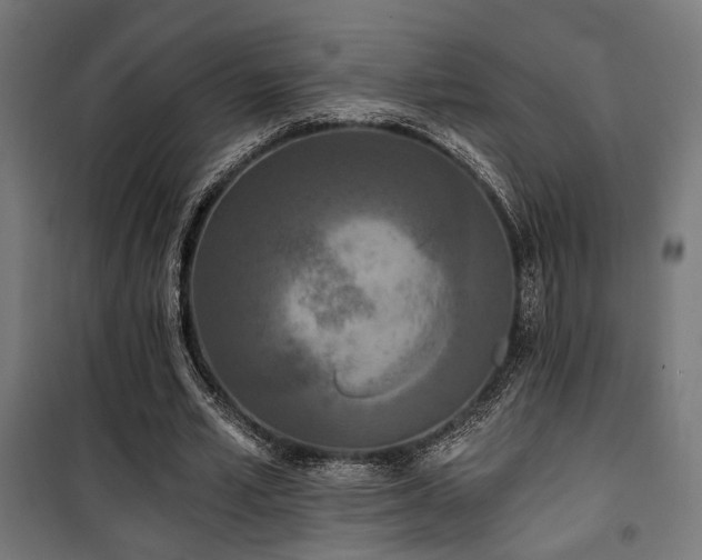 X0000101460581200807071433