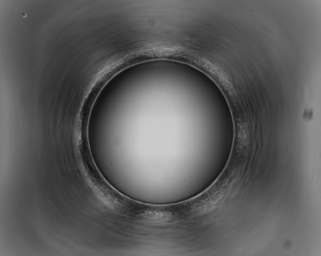X0000101460582200807071433