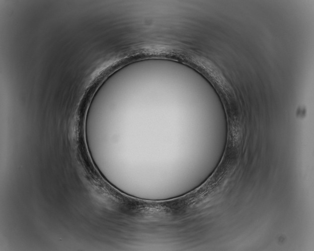 X0000101460583200807071433