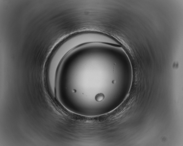 X0000101460584200807071433