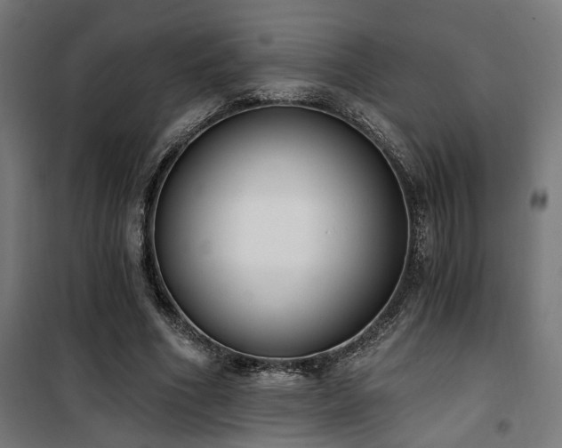 X0000101460586200807071433