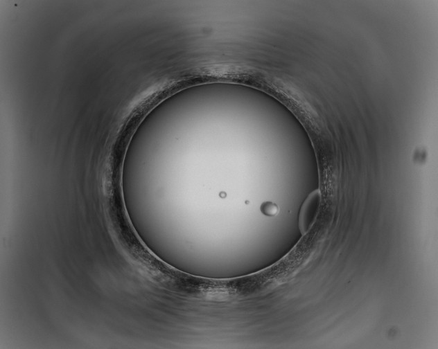 X0000101460587200807071432