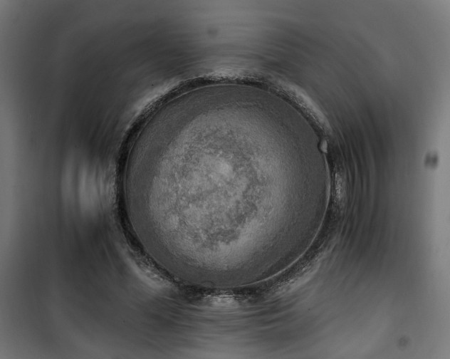 X0000101460588200807071432