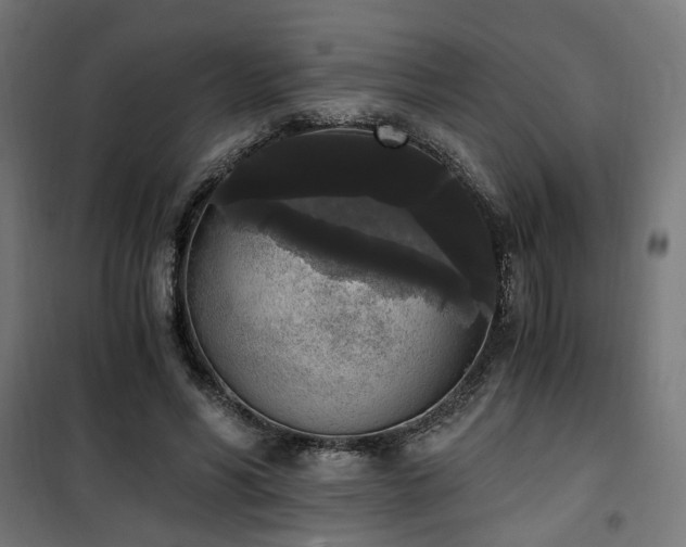 X0000101460590200807071432