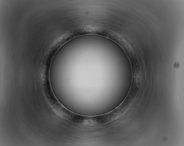 X0000101460591200807071432