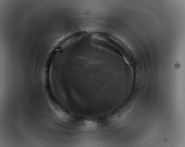 X0000101460592200807071432