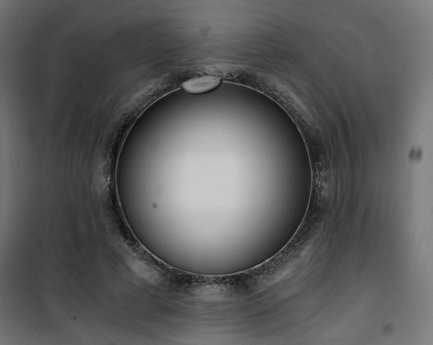 X0000101460593200807071432