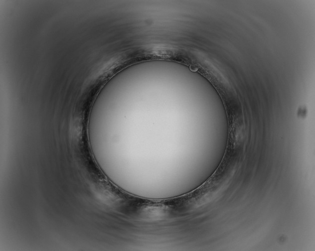 X0000101460595200807071432