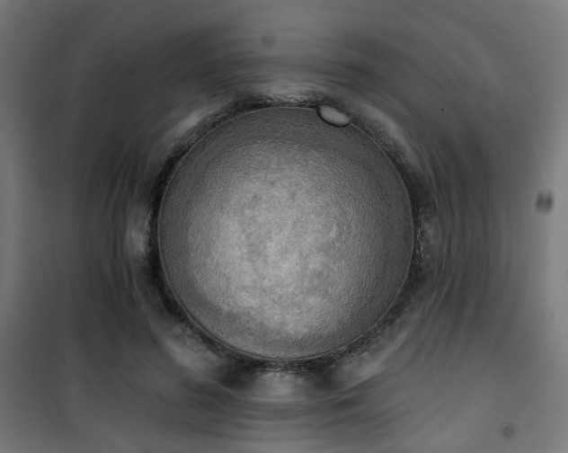 X0000101460596200807071432
