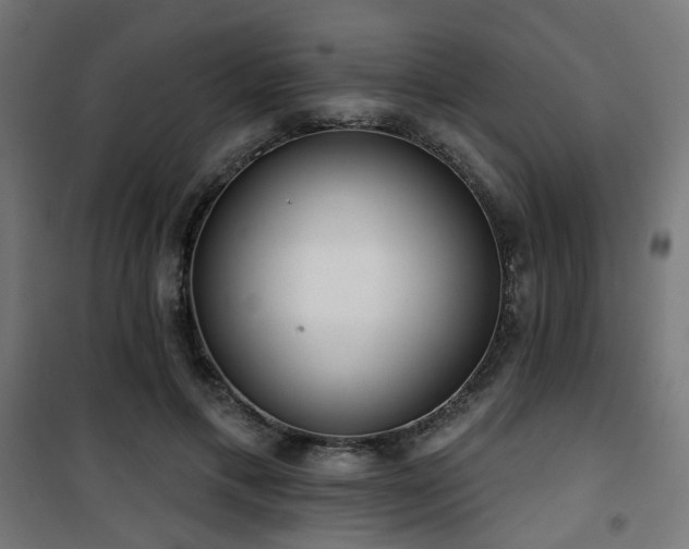 X0000101460597200807071432